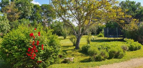 Maison charmante à Narbonne avec piscine et jardin - image 5