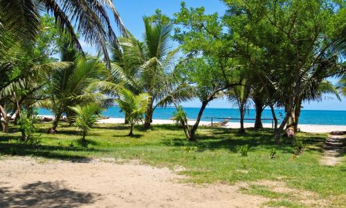 Dārzs, Charming Studio in Foulpointe, Sea View and Garden, 30 m² in Foulpointe