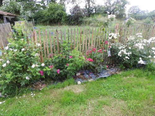Dārzs, Maison charmante près de Nueil-les-Aubiers avec jardin (Maison charmante pres de Nueil-les-Aubiers avec jardin) in Nueil-les-Aubiers