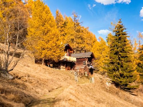 Cozy apartment in Bellwald 80 m² with mountain view