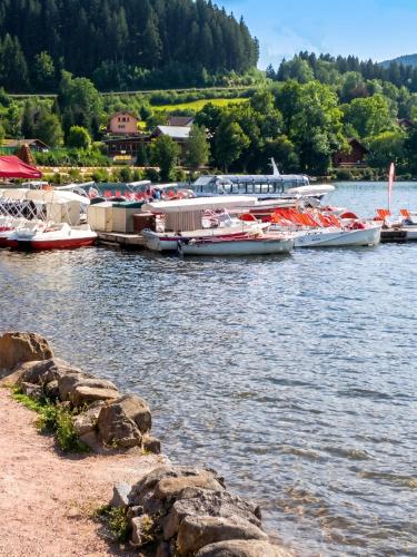 Maison spacieuse près de Gérardmer avec vue sur le lac - image 5