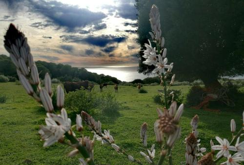 A szálláshely kívülről, Charming house with sea and mountain views in El Chaparral in EL Chaparral