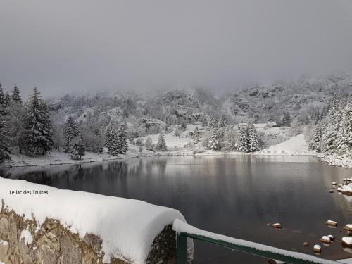 Appartement chaleureux a Soultzeren avec vue sur montagne in Soultzeren ciems