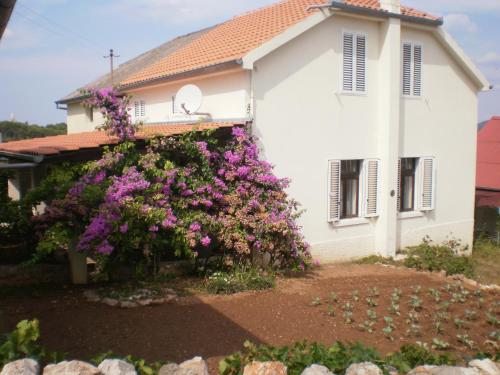  Holiday Home Branka in 23284 Iž Mali