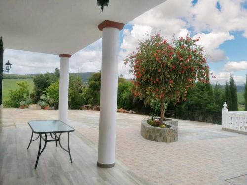 Charming chalet in Prado del Rey with private pool, Prado del Rey (foto 3)