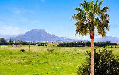 Cozy apartment in Dénia 40 m² with shared pool - image 2