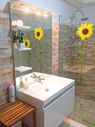 ห้องน้ำ, Appartement exquis à Baie-Mahault, 40m² avec jardin agréable (Appartement exquis a Baie-Mahault, 40m² avec jardin agreable) in แบ มาโอล