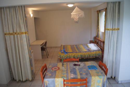 Studio cosy au Moule 30 m² avec jardin privé - image 4