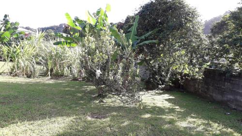 Dārzs, Appartement charmant à Saint-Joseph avec jardin et terrasse, 60 m² (Appartement charmant a Saint-Joseph avec jardin et terrasse, 60 m²) in Saint-Joseph