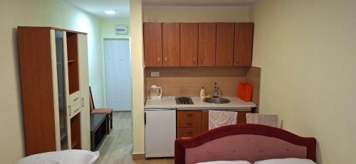 Suncani apartman 2-Vila Amfora - image 4