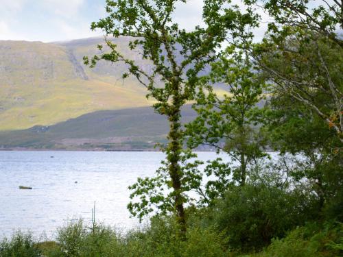 Viesnīcas āriene, Allt Beag Little Streams in Ardaneaskan