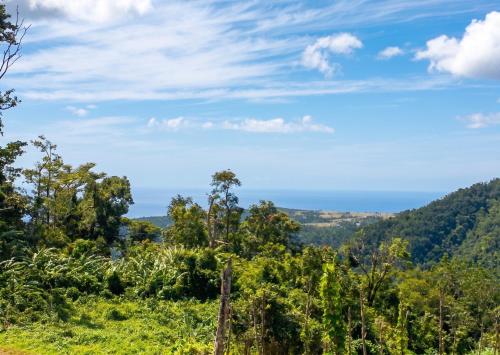 ทัศนียภาพ, Charming House with Sea & Mountain View in ปงต์ คาสเซ