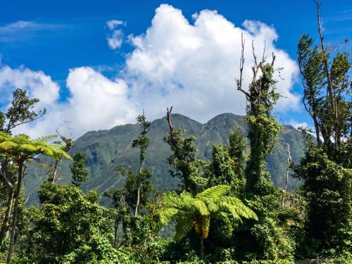 ทัศนียภาพ, Charming House with Sea & Mountain View in ปงต์ คาสเซ