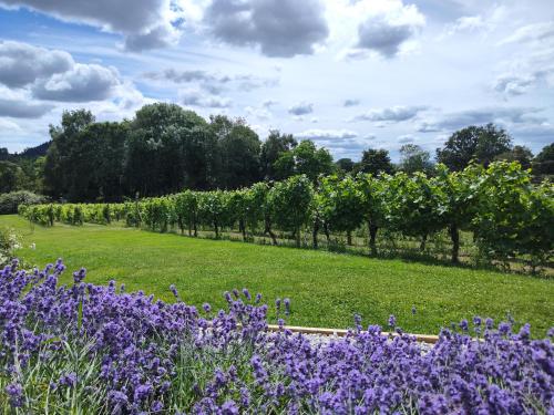 Vine View Lodge near Ledbury in Bosbury