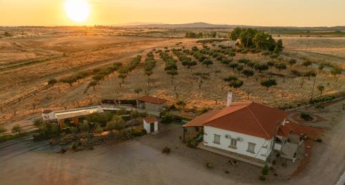 . Casa De Campo Das Oliveiras