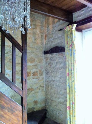 Les Roses Trémières