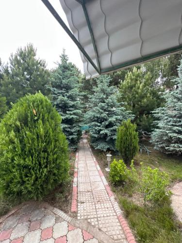 Достук in Bosteri