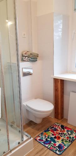 Agroturystyka u Sylwii Sportowa 24, Apartament 4-ro osobowy in Stara Kamienica