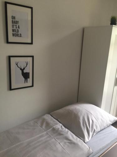Single Room image 8