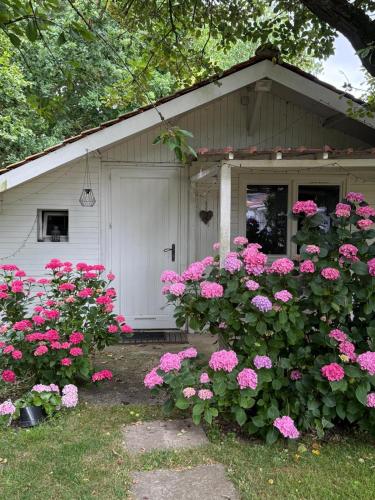 LE CHALET de LA LONGERE chambre d'hôte Court au Bois