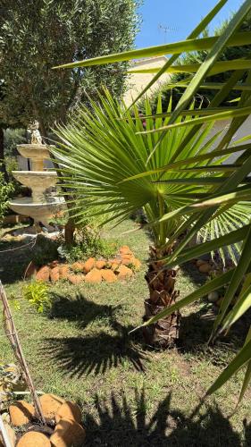 Superbe Logement Au Rez-de Chaussee Avec Jardin - Arles