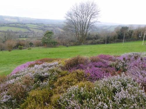 Walkers Retreat - image 8