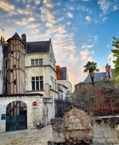 T1 dans un monument historique classé à 20 m de la célèbre place Plumereau
