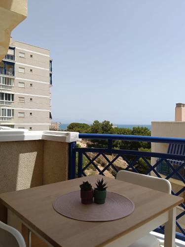 Oasis Beach Arenales