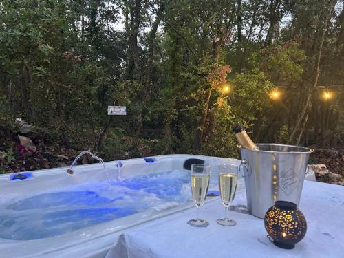 Villa climatisée, Piscine, Spa, jardin 4500 m2 dans la foret - Location, gîte - Le Luc