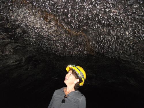 Aloha Crater Lodge and Lava Tube Tours