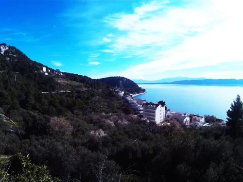 Borovik Guest House - image 35