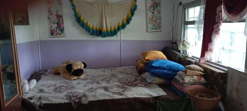 погружение в природу in Vatra