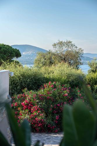 Villa Pinsons Saint Tropez