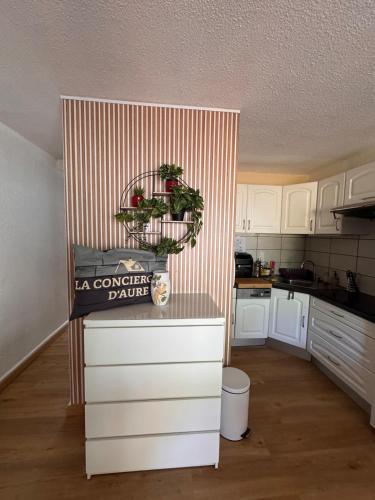 Appart 4-6 couchages Saint Lary Bastanet