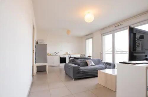 Bel Appartement Lumineux Lyon 7