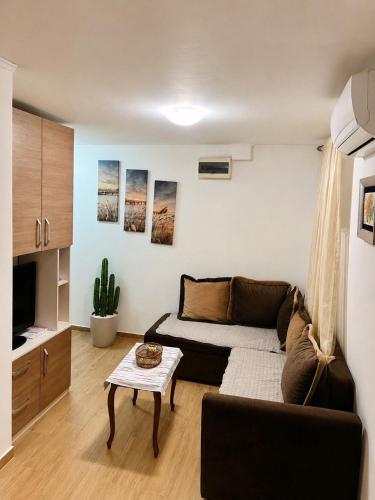Nikola cozy apartment
