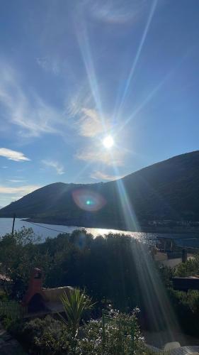 Hvar-Zarače Ina 2