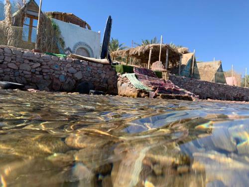 kalima camp in Nuweiba