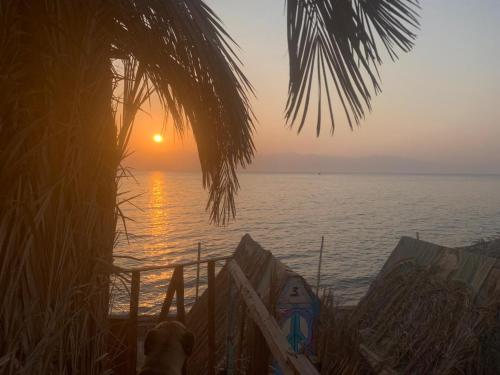kalima camp in Nuweiba