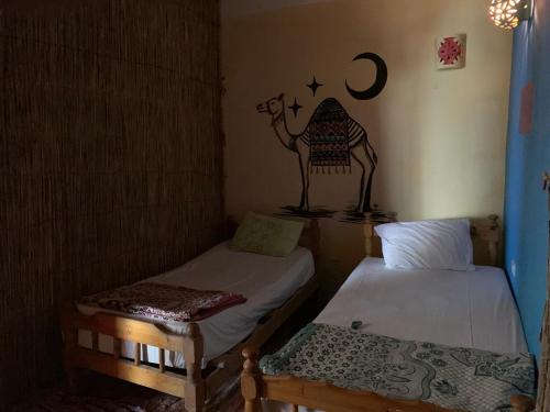 kalima camp in Nuweiba