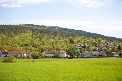 Casa Krasna Guest House - image 14