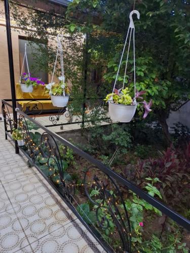 2-Room Modern House in Naxcıvan