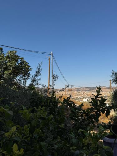 جرش in Jarash