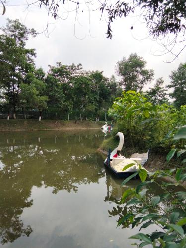 레크레이션 시설, Namir Green Resort in 잠고라