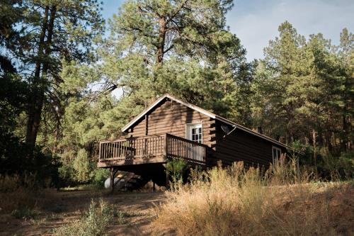 Piedra River Outpost in Bayfield (CO)