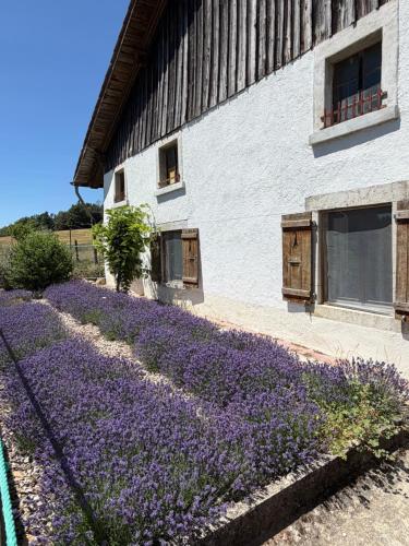 la ferme de la gaby gîte à louer Goumois
