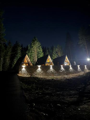 Durmitor forest lodge in Vrela