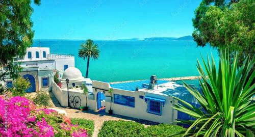 Sidi studio 8bis in Sidi Bou Said