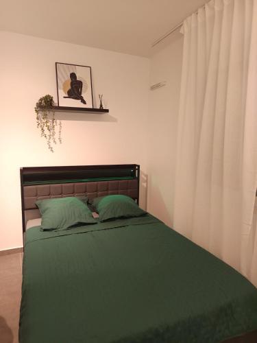 Renovated apartment exceptional price LDLC Arena Groupama Stadium - Location saisonnière - Décines-Charpieu