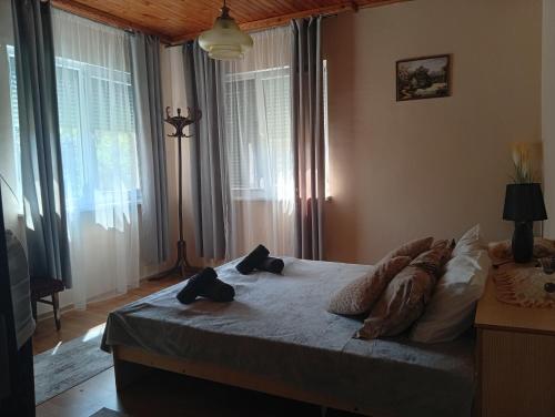 Уют in Mineralni Bani